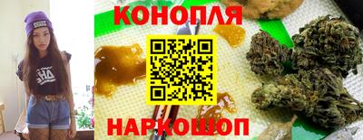 дживик Будённовск